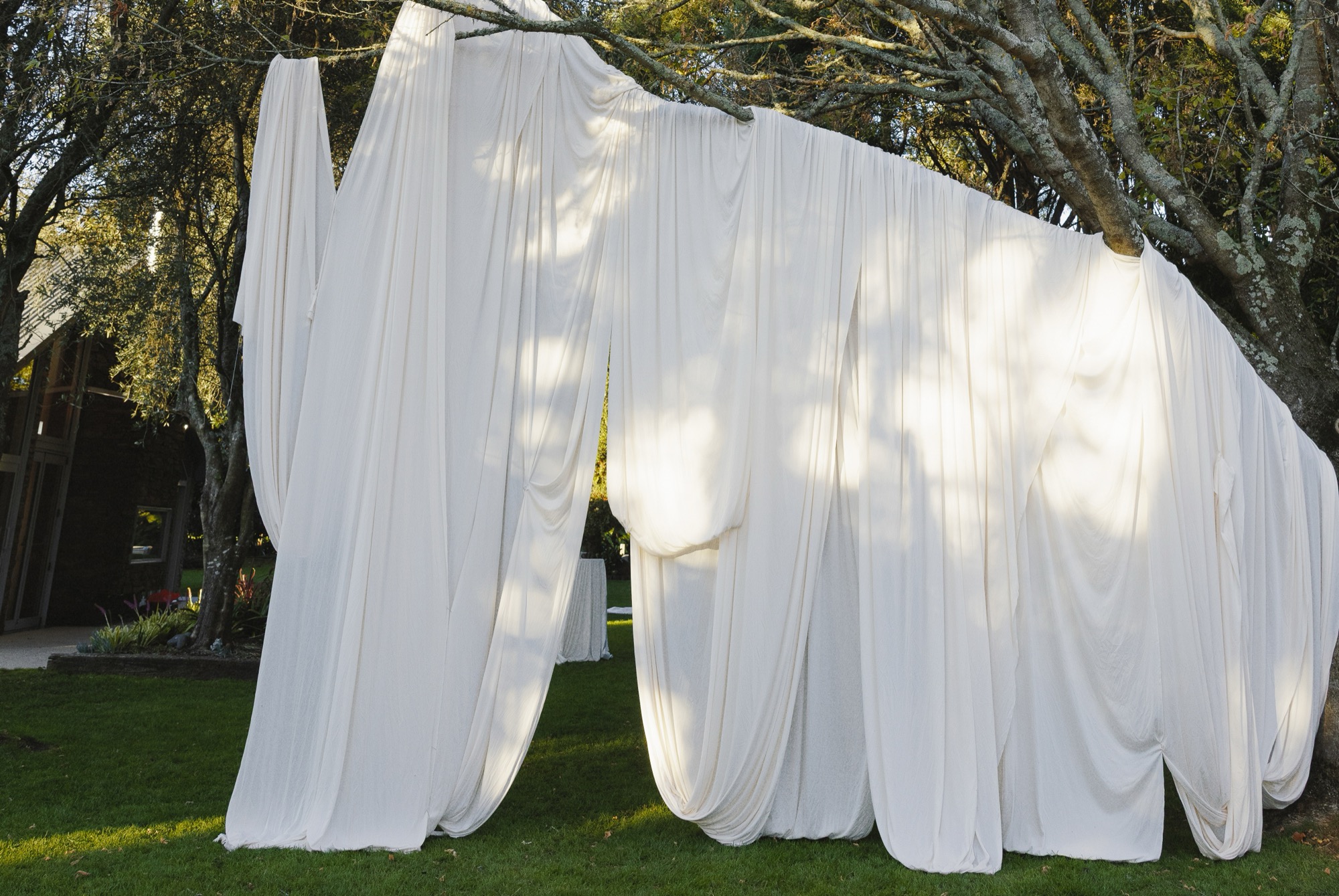 Lengths of white drape strung between trees, lit by afternoon sun