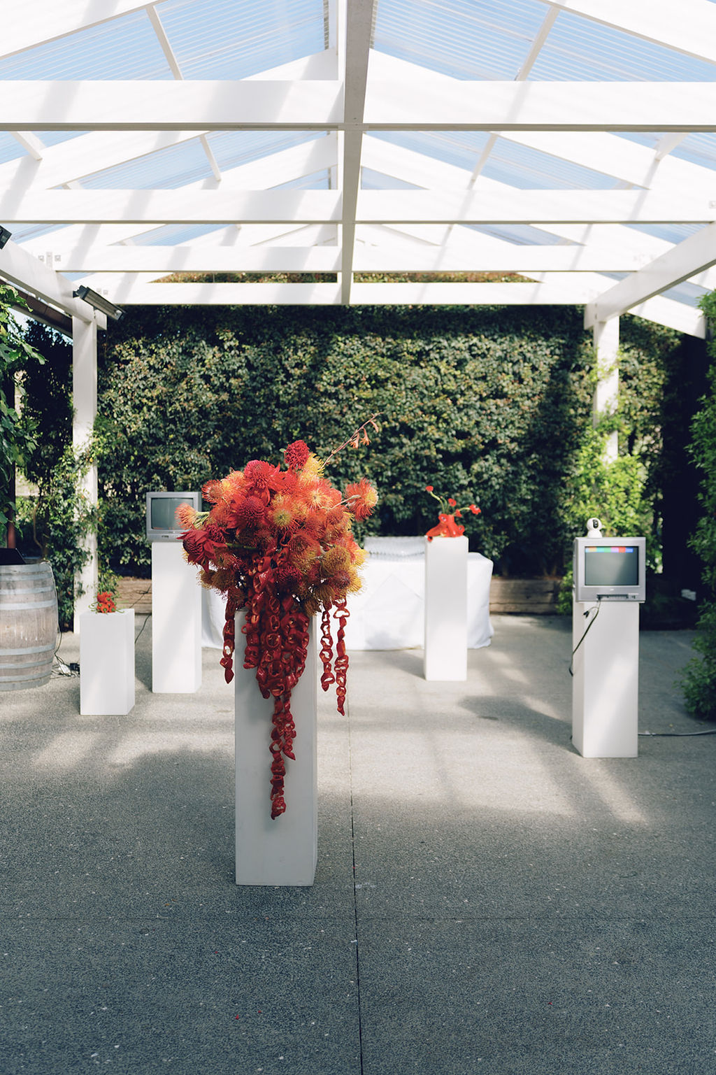 Mudbrick Vineyard, Waiheke Island